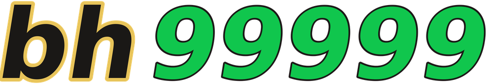 bh99999 logo